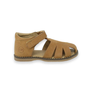 ALVA cognac