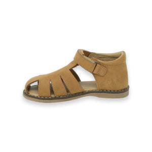 ALVA cognac