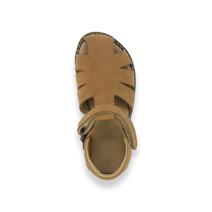 ALVA cognac