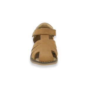 ALVA cognac