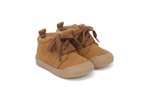FIRST STEP winter_camel 2025