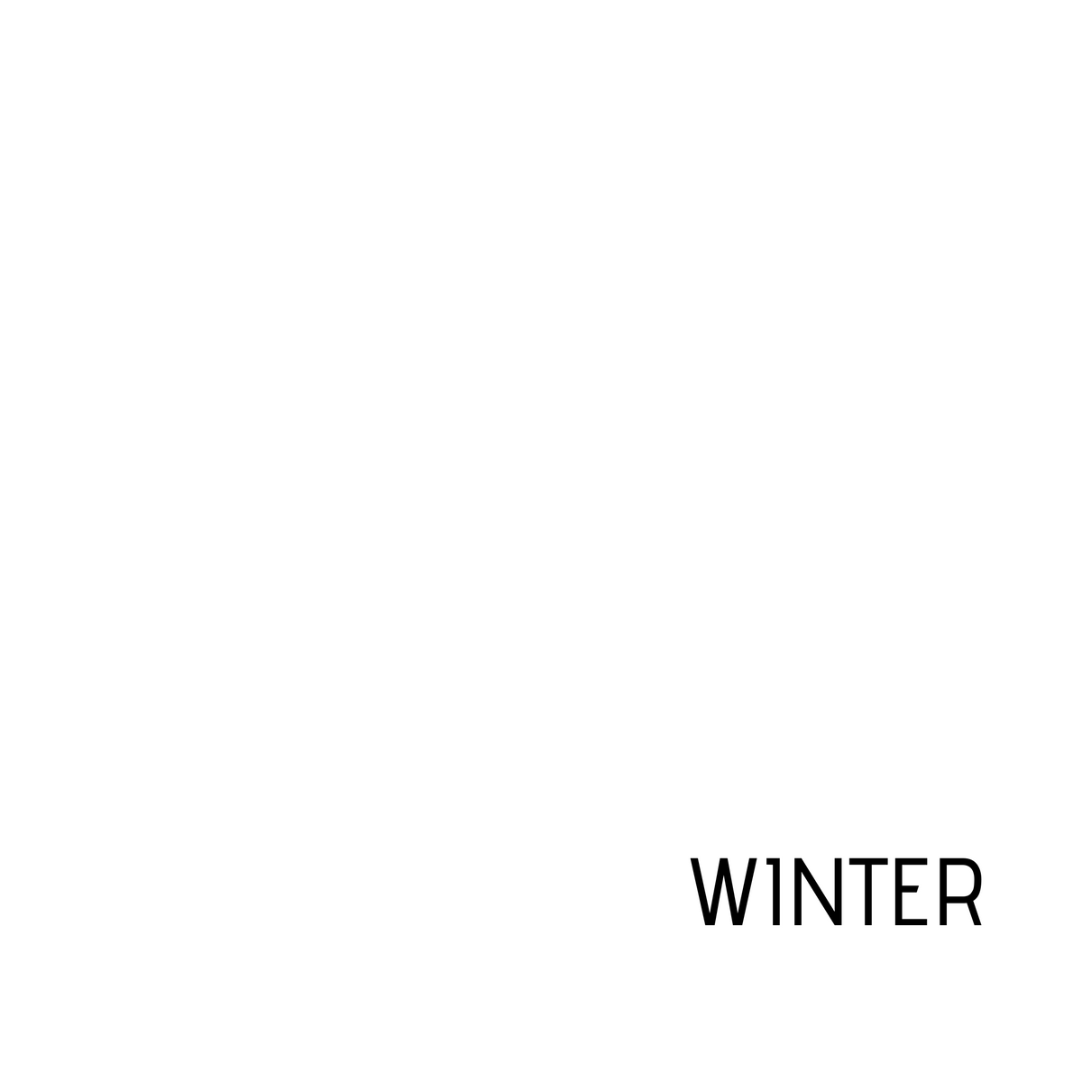 2.Wahl Winter