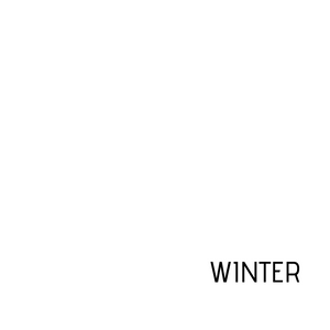 2.Wahl Winter