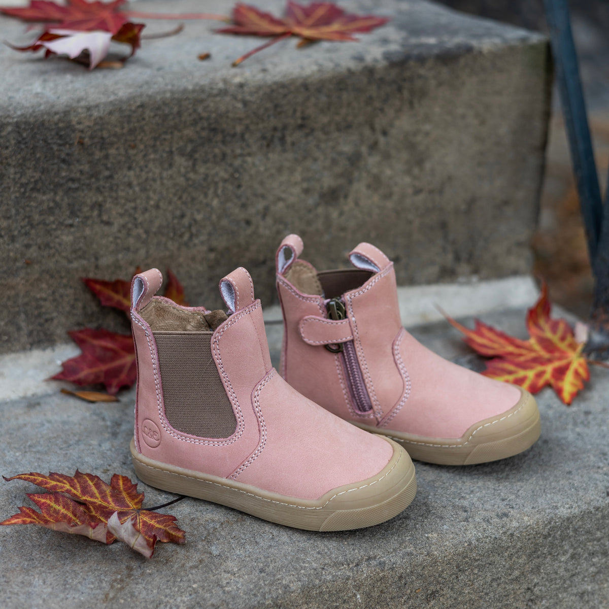 FIRST STEP Janne rosa