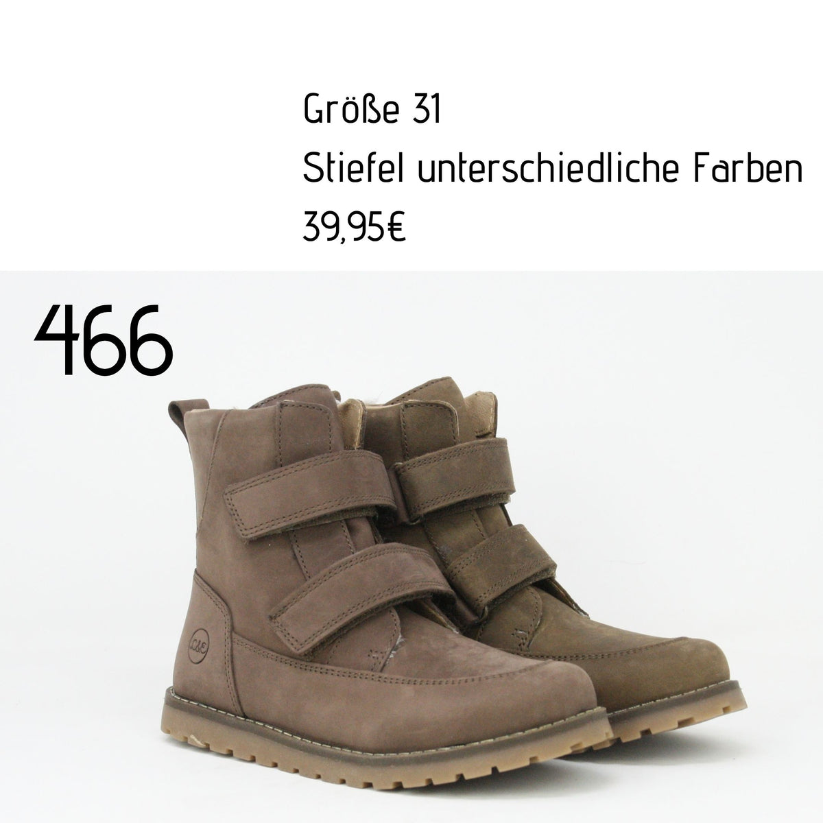 2.Wahl Winter