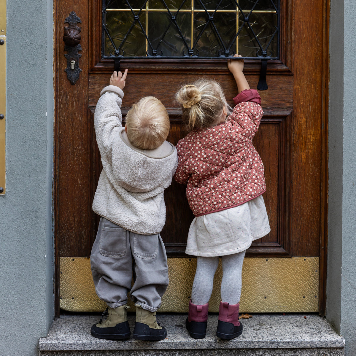 FIRST STEP Finn beere