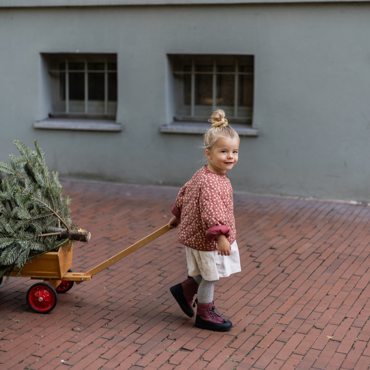 FIRST STEP Finn beere