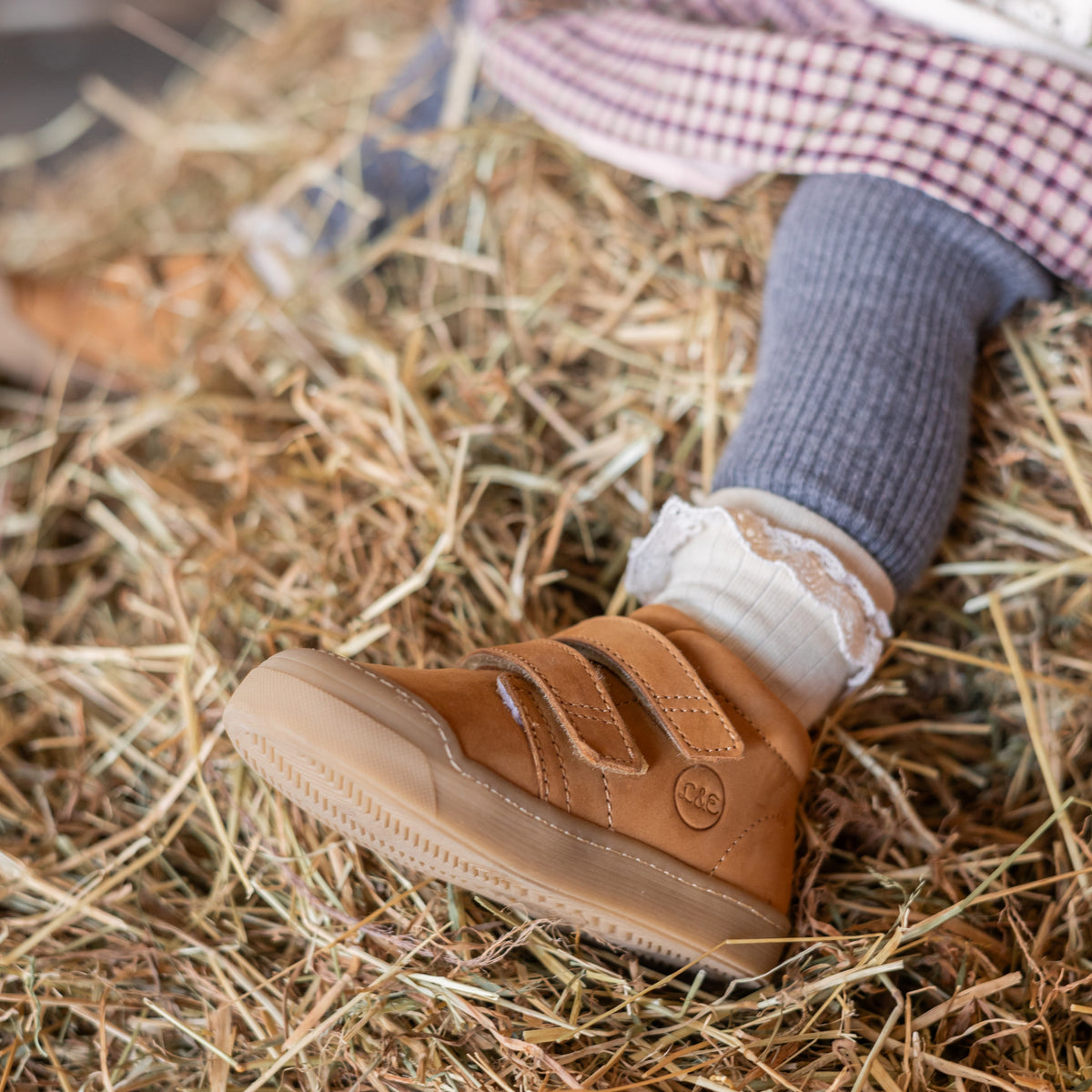 FIRST STEP winter_klett_camel