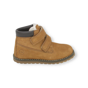 BOOT camel