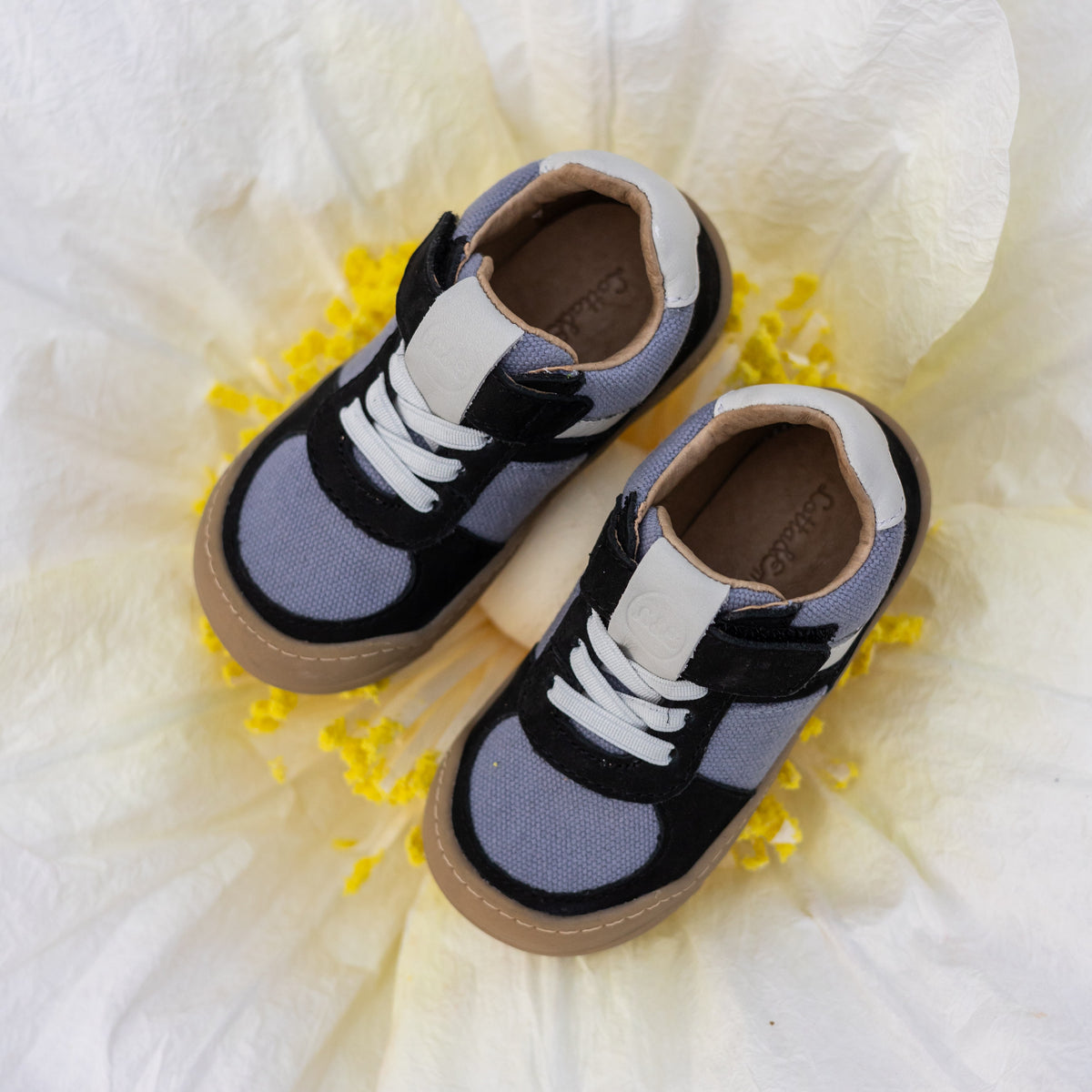 FIRST STEP TOMTE blau