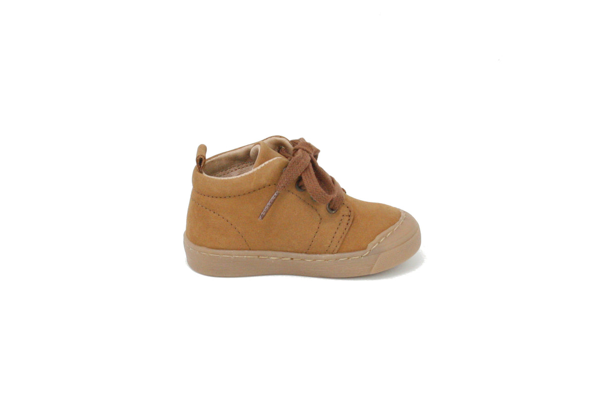 FIRST STEP winter_camel 2025